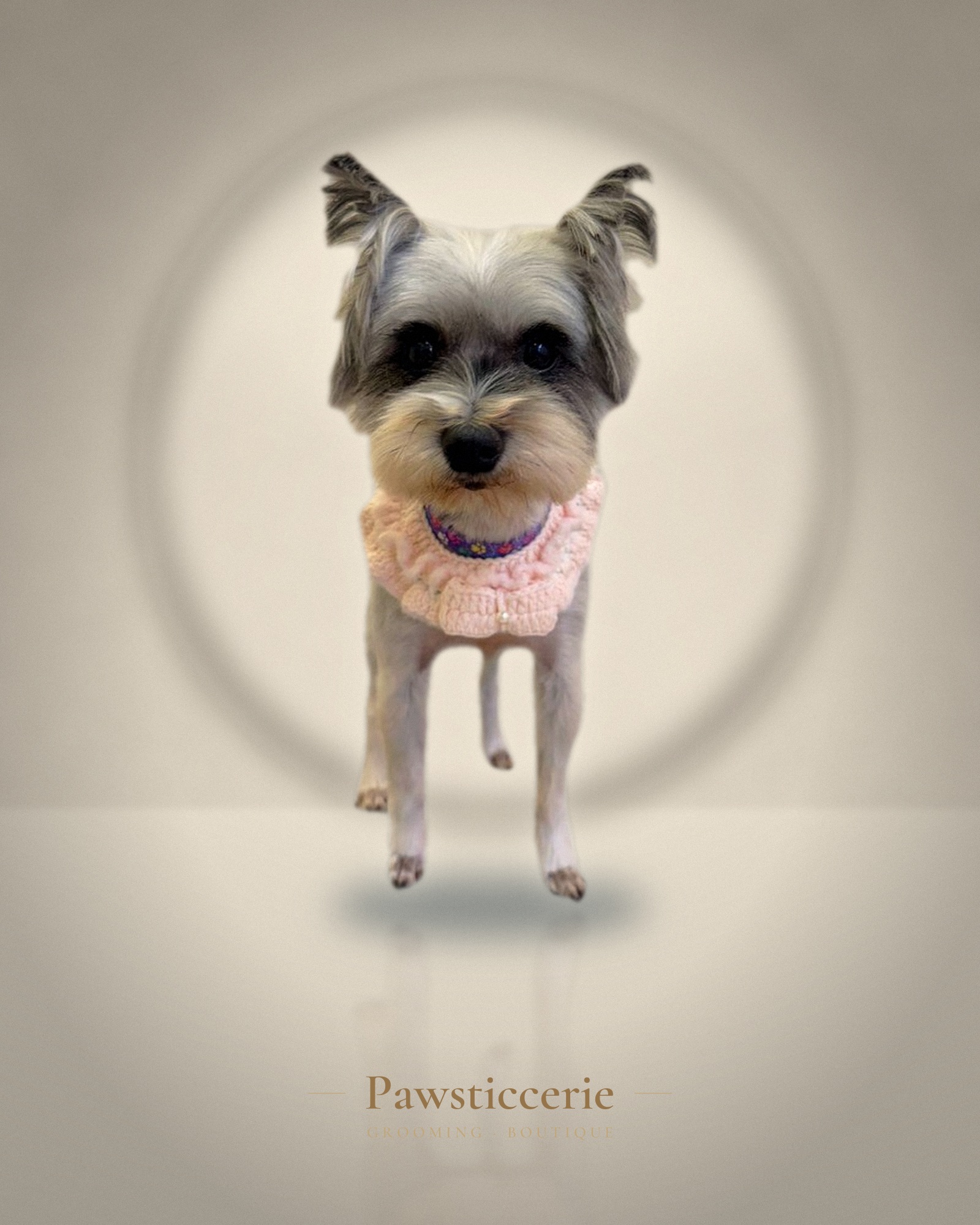 Morkie, Puppy Cut by Kiersten
